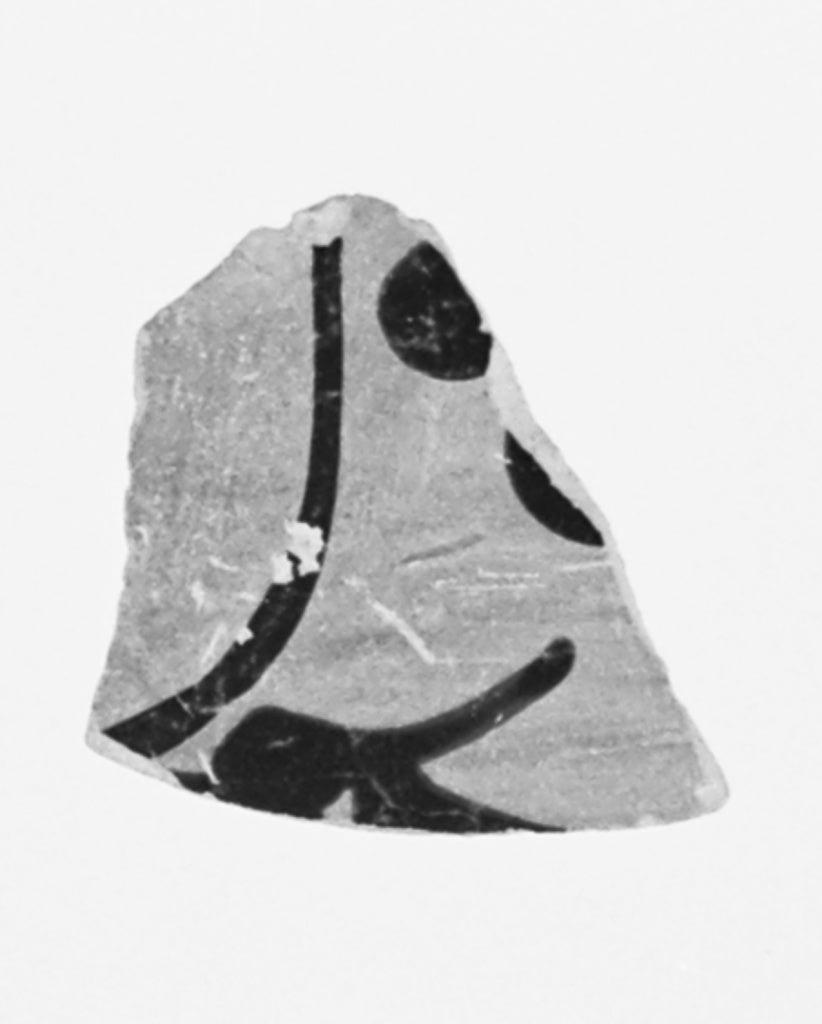 Unknown:Attic Black-Figure Amphora Fragment, Poster Print Wall Art