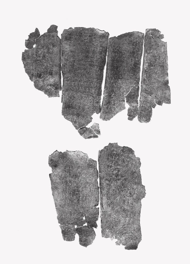 Unknown:Lamella Fragment (comprised of 6 unjoined fragments), Poster Print Wall Art