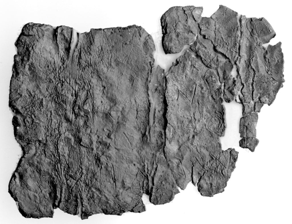 Unknown:Lamella Fragment (comprised of 6 joined fragments), Poster Print Wall Art