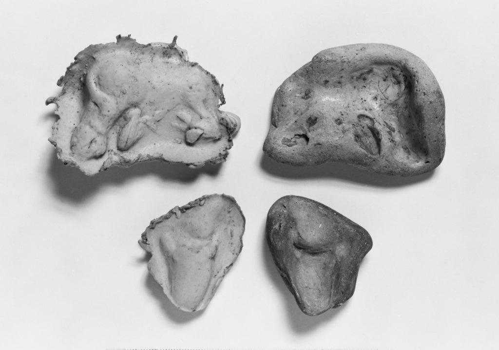 Unknown:Mold Fragment, Poster Print Wall Art