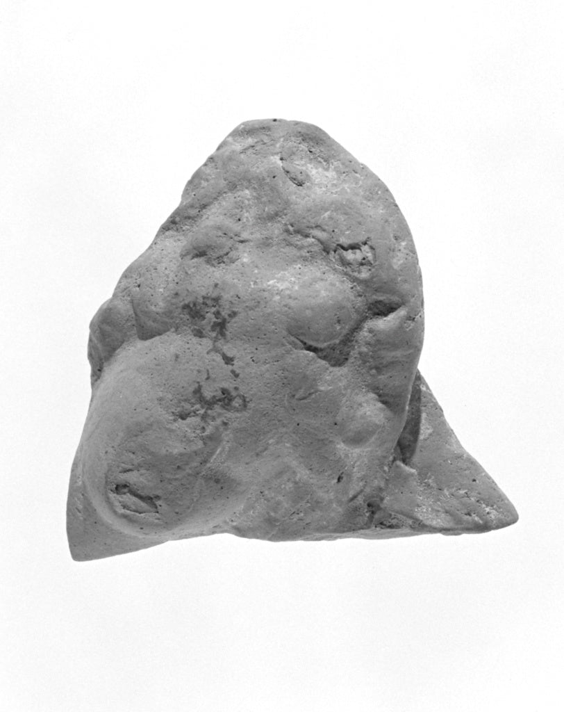 Unknown:Tarantine Head Fragment, Poster Print Wall Art