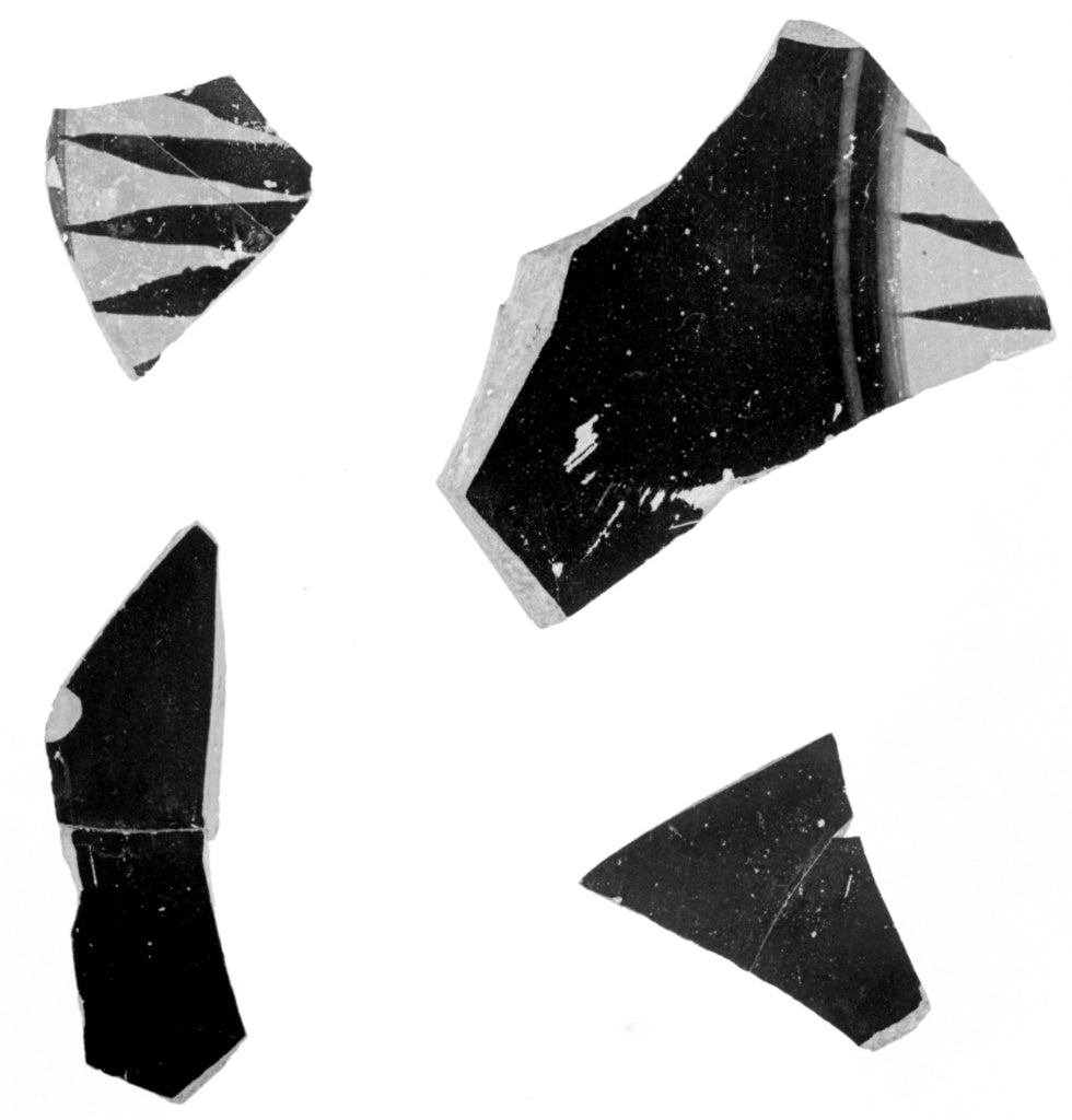 Unknown:Attic Black-Figure Neck Amphora Fragment (part of 81, Poster Print Wall Art