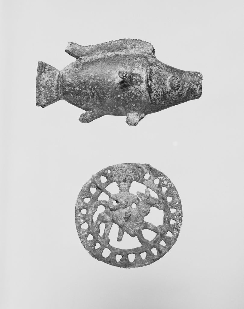 Unknown:Fish, Poster Print Wall Art