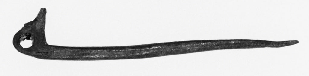 Unknown:Fibula Fragment, Poster Print Wall Art