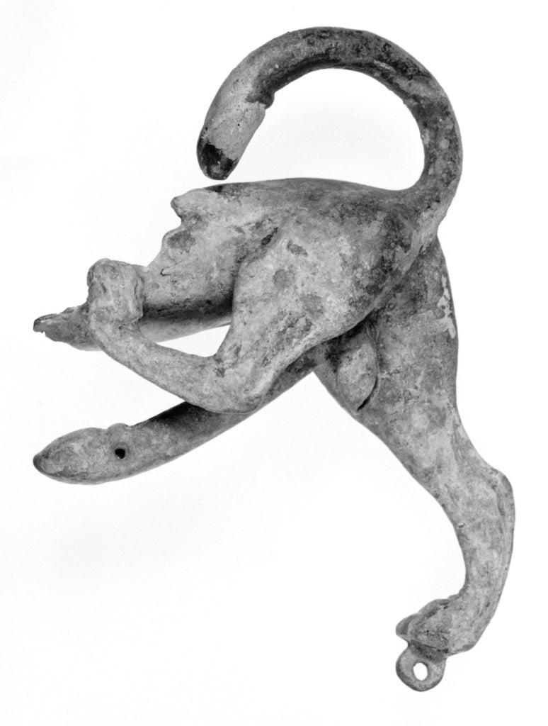 Unknown:Hindquarters of an Ithyphallic Feline Attachment, Poster Print Wall Art