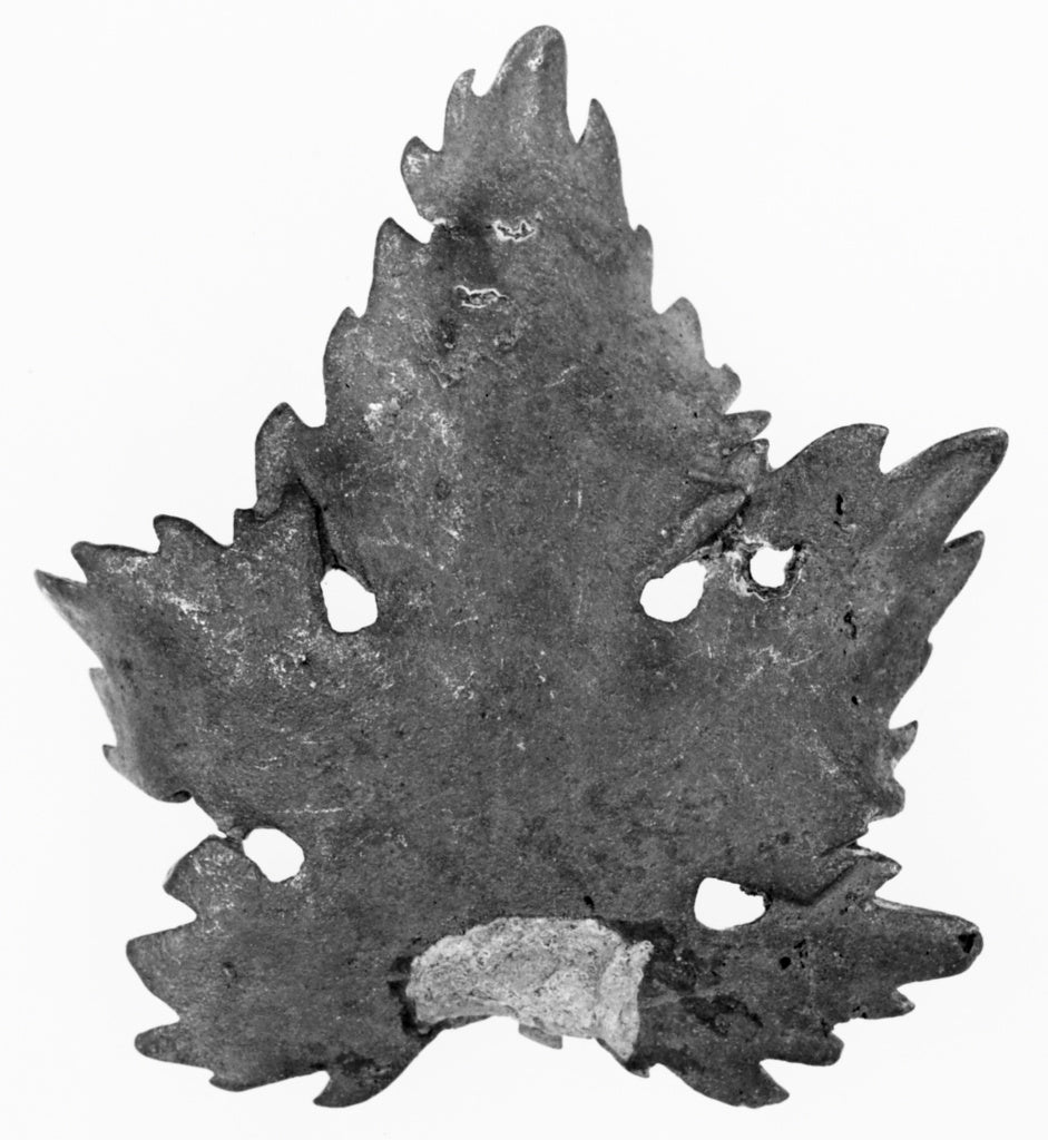 Unknown:Oak Leaf(?) Attachment, Poster Print Wall Art