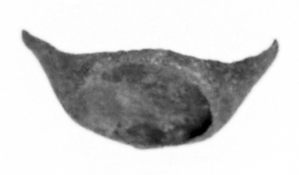 Unknown:Half of a Ring with Area for Bezel (now missing), Poster Print Wall Art