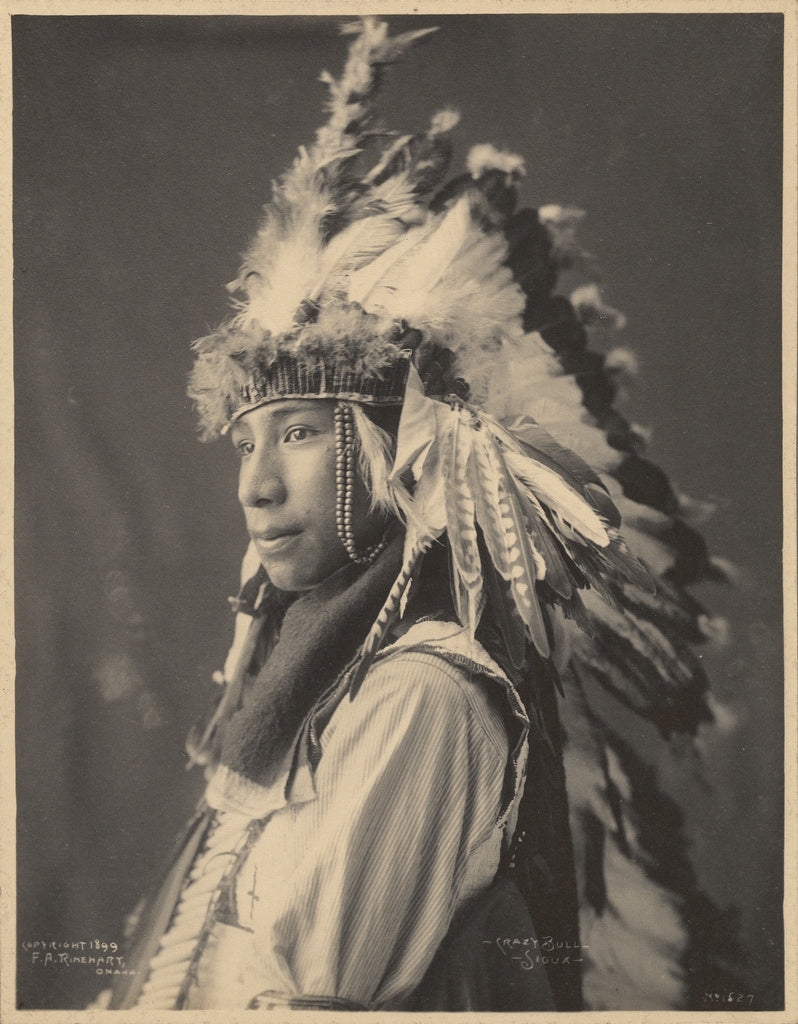 Adolph F. Muhr:Crazy Bull, Sioux, Poster Print Wall Art