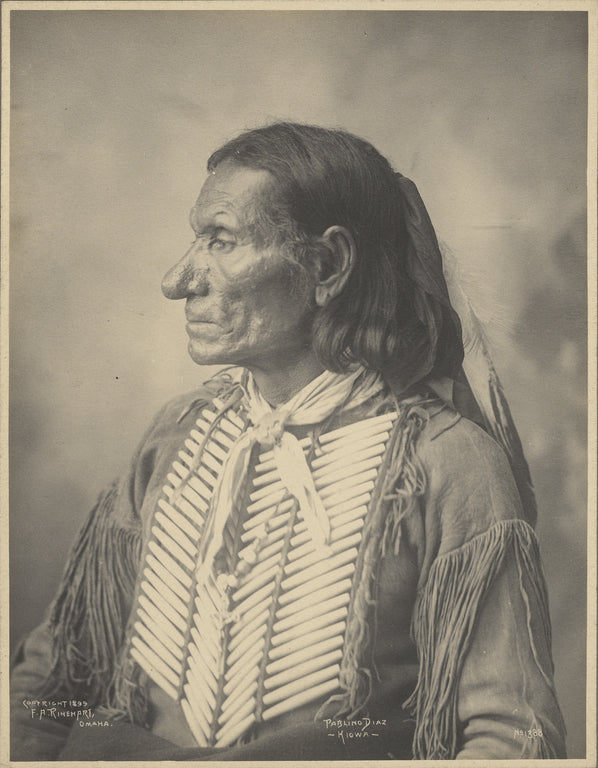 Adolph F. Muhr:Pablino Diaz, Kiowa, Poster Print Wall Art