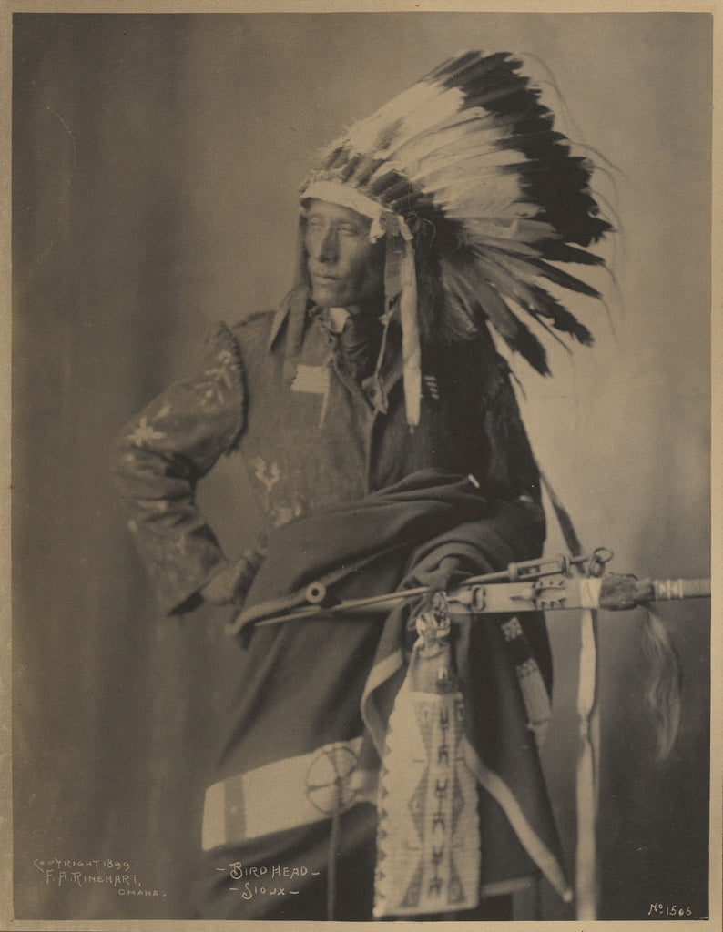 Adolph F. Muhr:Bird Head, Sioux, Poster Print Wall Art