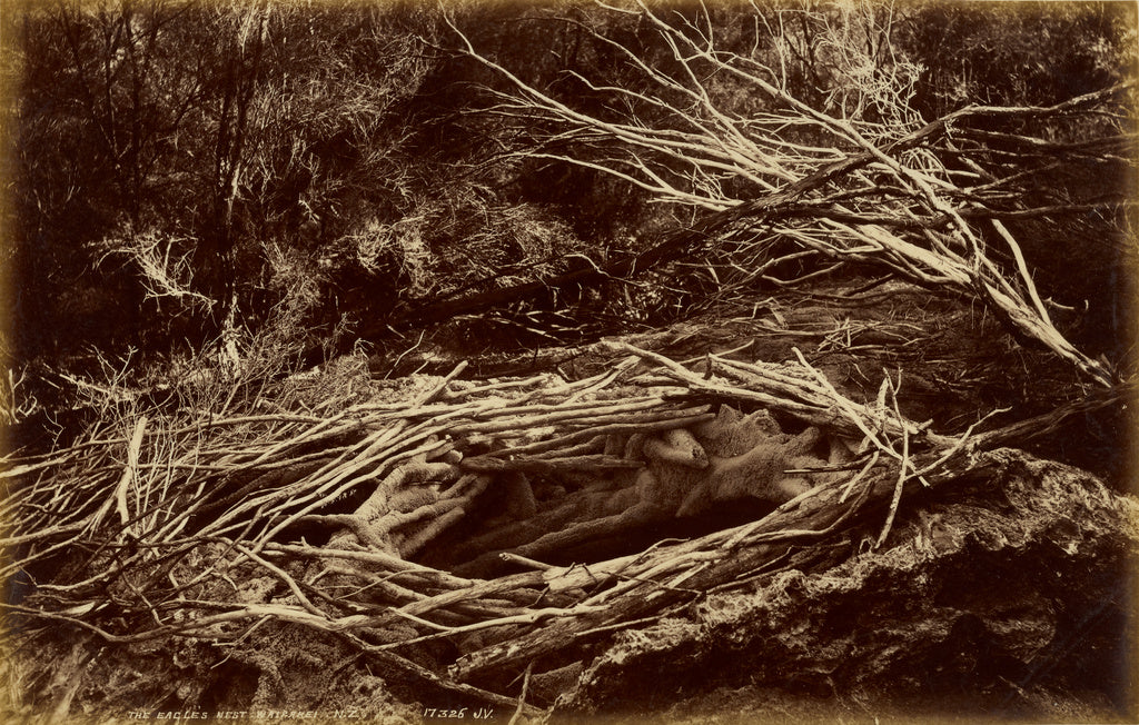 Valentine & Sons:The Eagle's Nest, Wairakei, New Zealand, Poster Print Wall Art