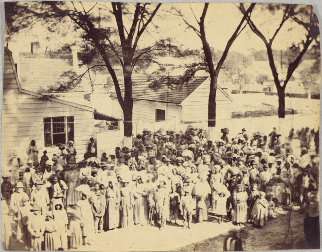 Timothy H. O'Sullivan:[Slaves, J. J. Smith's Plantation, nea, Poster Print Wall Art