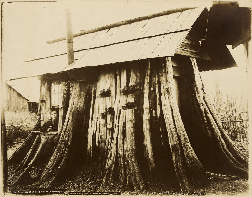 Darius Kinsey:Residence of an Early Settler in Washington, Poster Print Wall Art