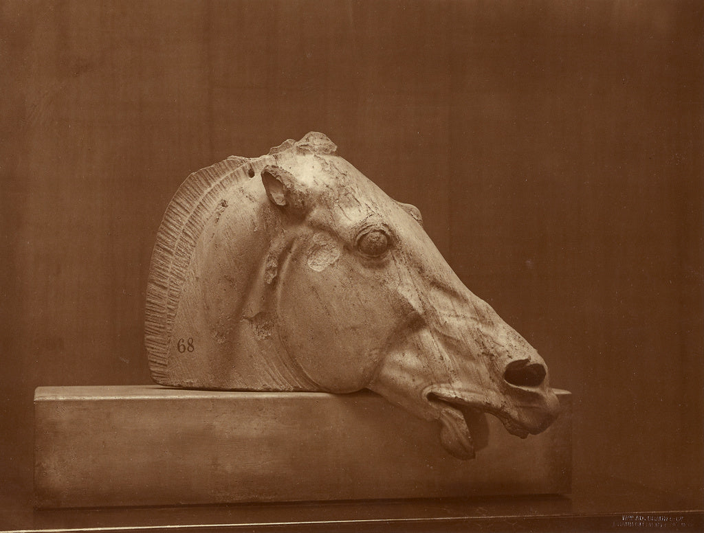 Adolphe Braun:[Head of a Horse from the Pediment of the Part, Poster Print Wall Art
