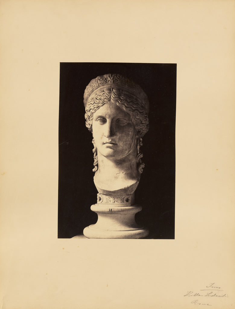 James Anderson:Antonia Minor, Poster Print Wall Art