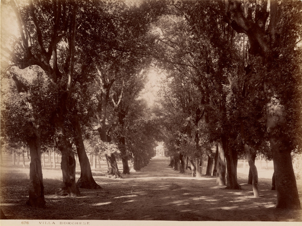 James Anderson:Villa Borghese, Poster Print Wall Art