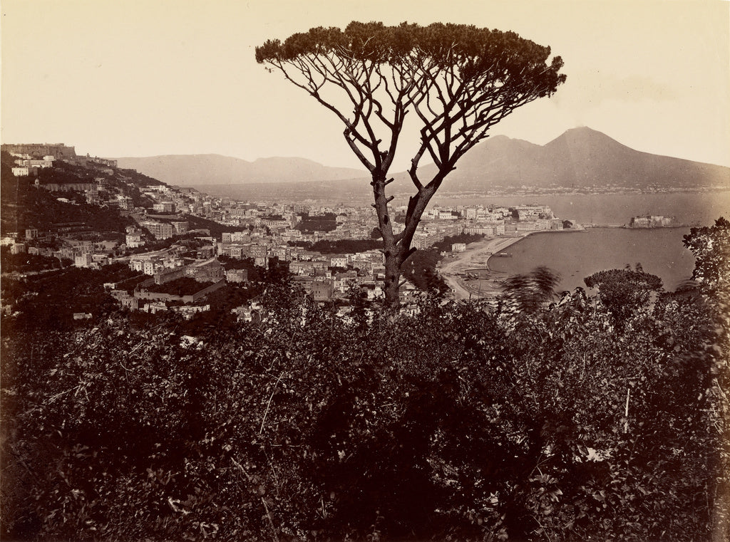 James Anderson:Naples Panorama, Poster Print Wall Art
