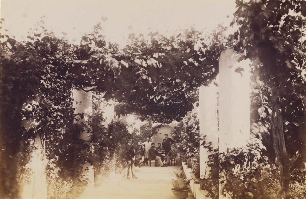 James Anderson:Garden - Capri, Poster Print Wall Art