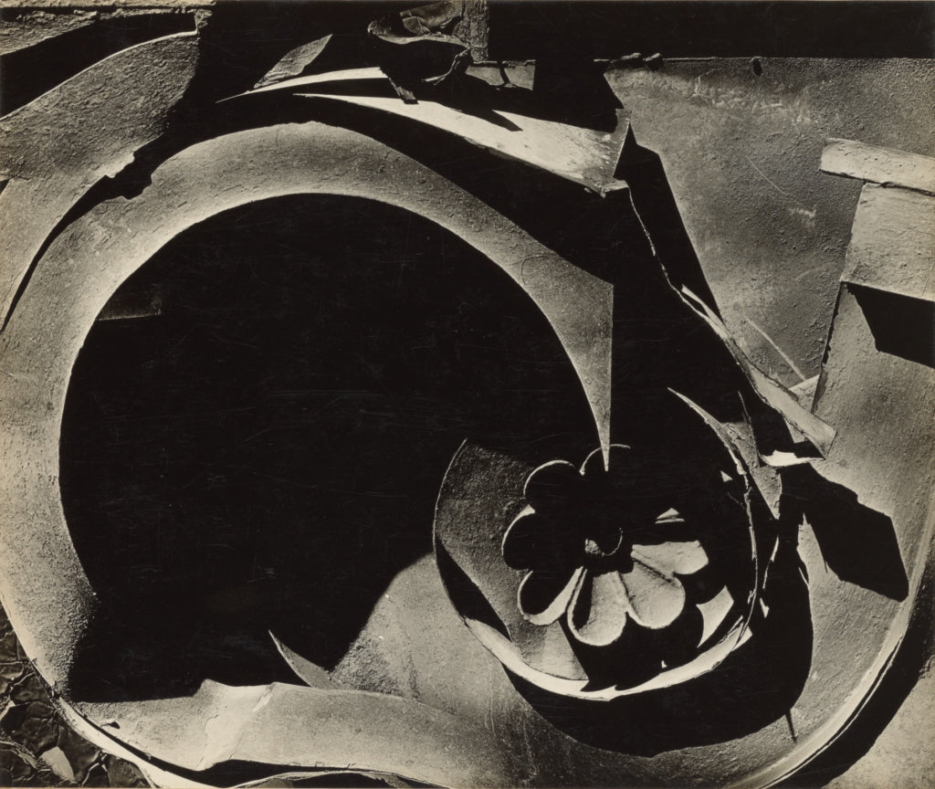 Walker Evans:Tin Relic, Poster Print Wall Art
