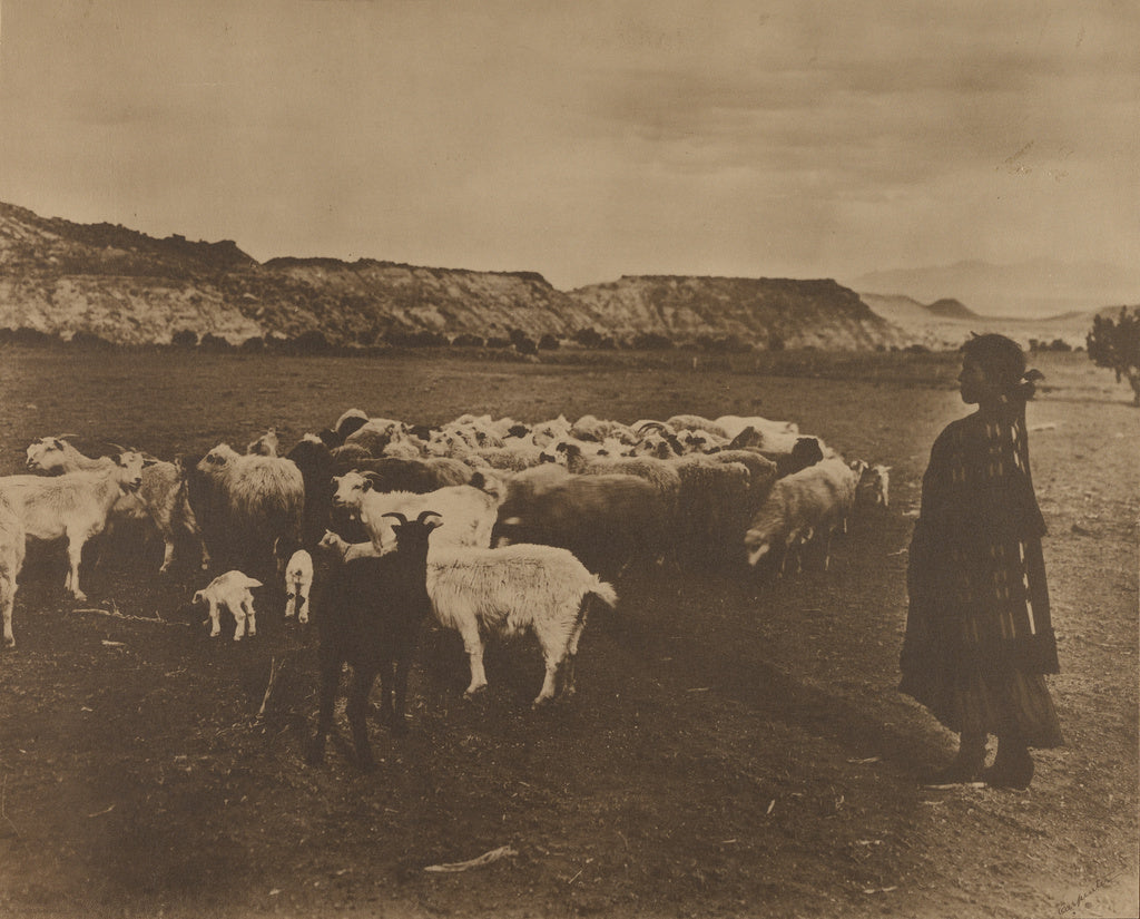 William J. Carpenter:The Indian Shepherd, Poster Print Wall Art