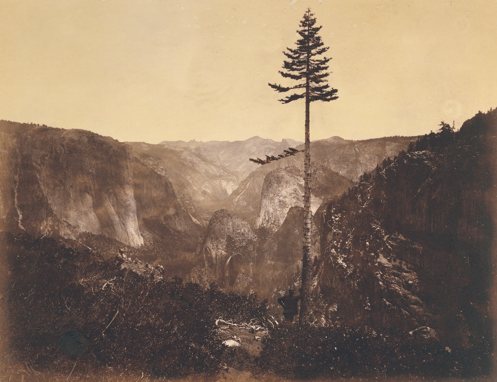 C.L. Weed:Yo-Semite Valley, from the Mariposa Trail. Maripo, Poster Print Wall Art