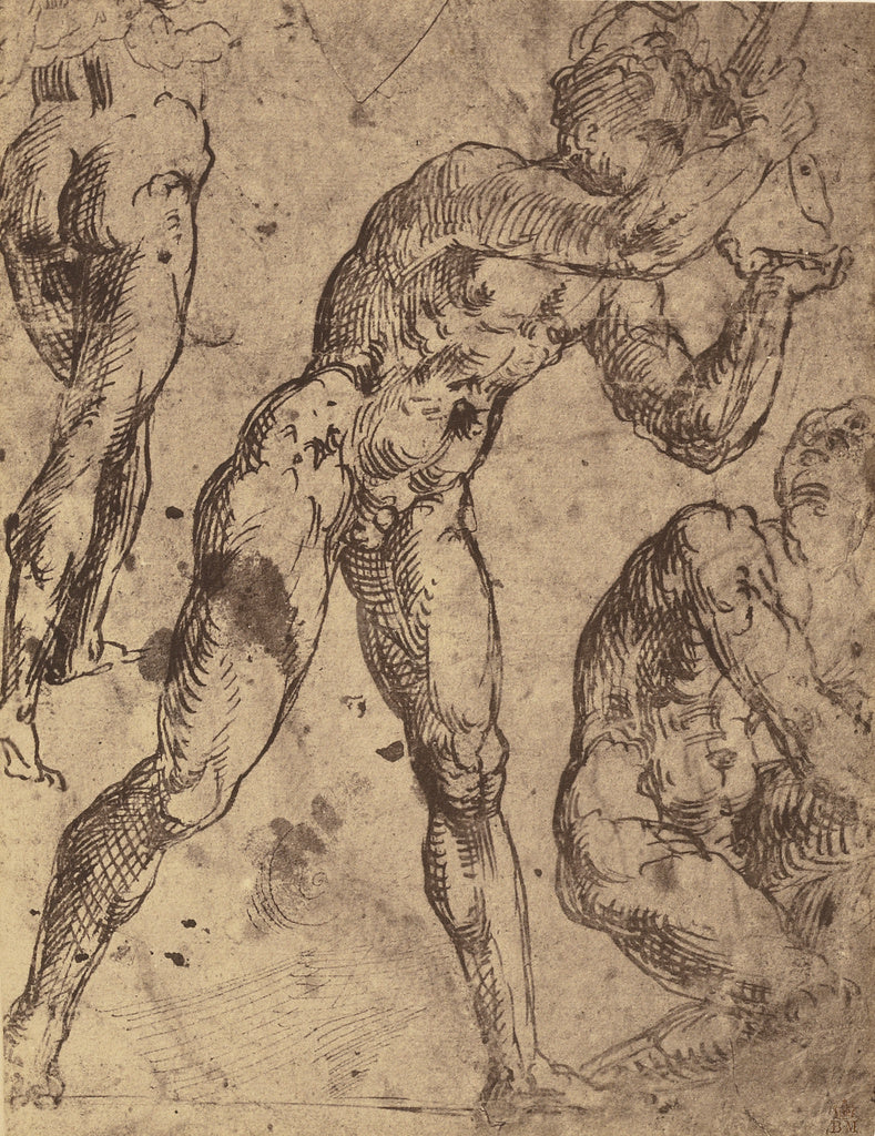 Roger Fenton:[Drawing of Male Nude Figure Studies by Raphael, Poster Print Wall Art