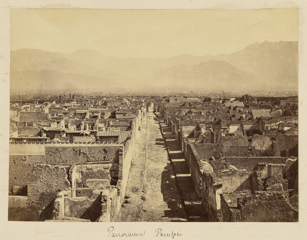 Bisson Frères:Panorama of Pompeii, Poster Print Wall Art