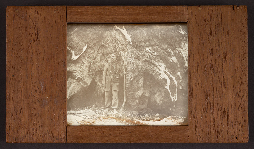 Carleton Watkins:Mariposa Grove. Galen Clark. / Portrait of , Poster Print Wall Art