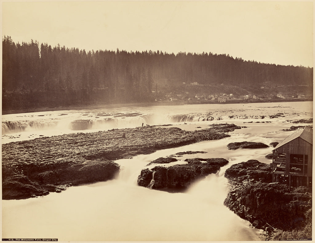 Carleton Watkins:The Willamette Falls, Oregon City, Poster Print Wall Art
