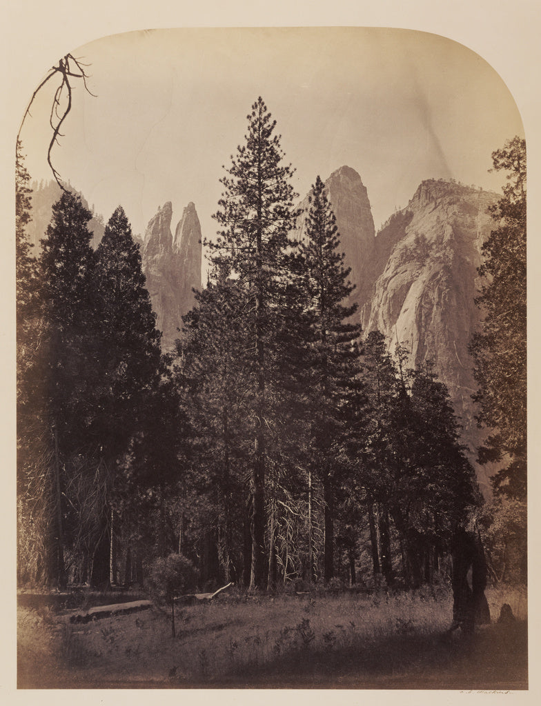 Carleton Watkins:Cathedral Spires - Yo Semite, Poster Print Wall Art