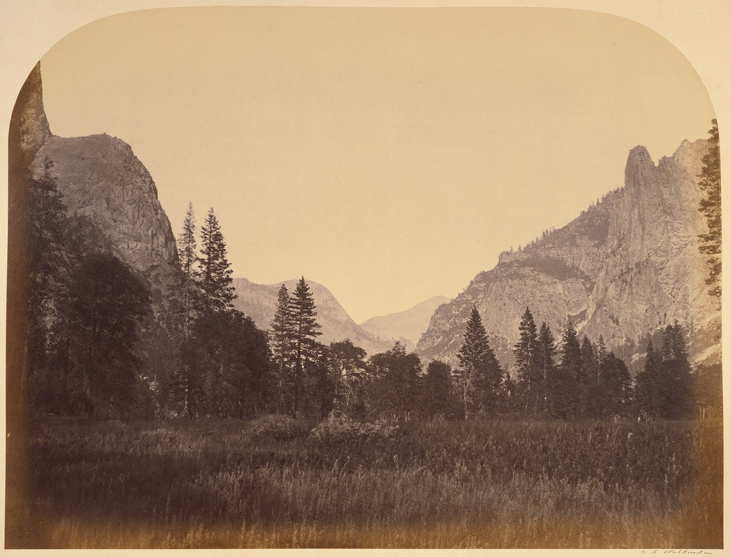 Carleton Watkins:Up the Valley - Yo Semite, Poster Print Wall Art