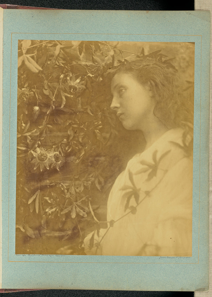 Julia Margaret Cameron:Maud "There has fallen a splendid tea,16x12"(A3)Poster