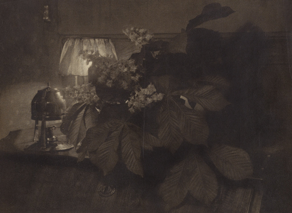 Heinrich Kühn:[Still Life with Horse Chestnut Flowers, Lamp, Poster Print Wall Art