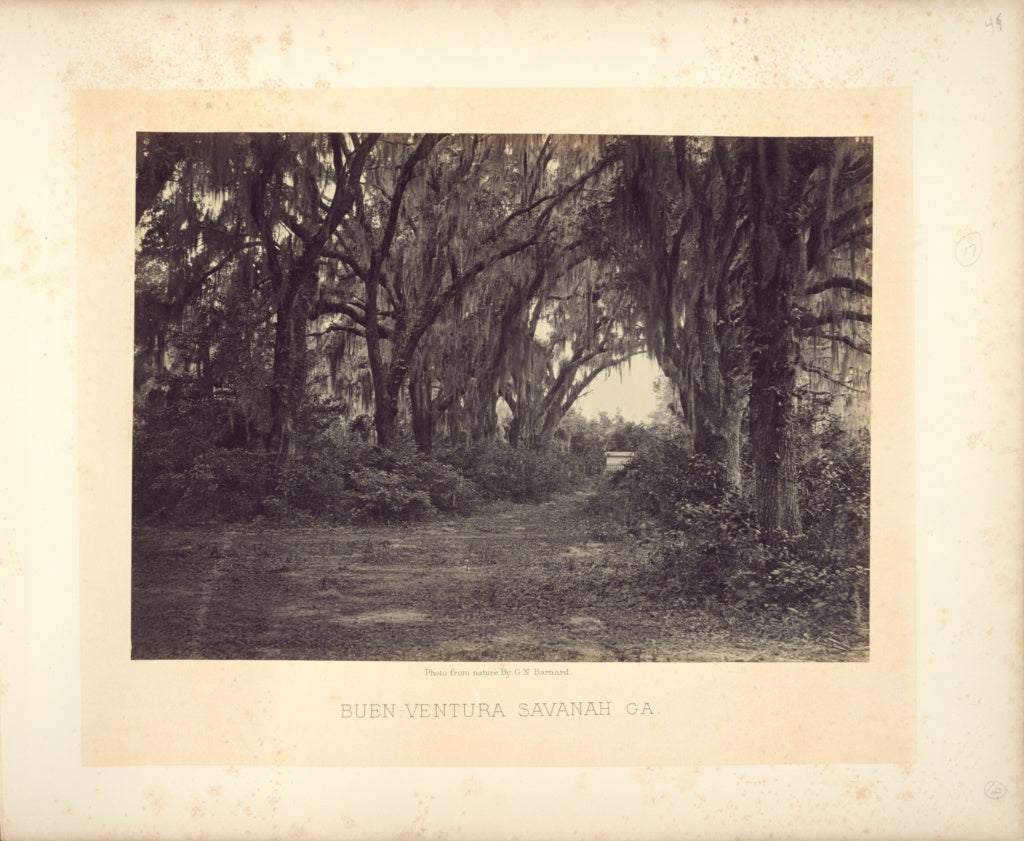 George N. Barnard:Buen-Ventura Savannah, Georgia, Poster Print Wall Art