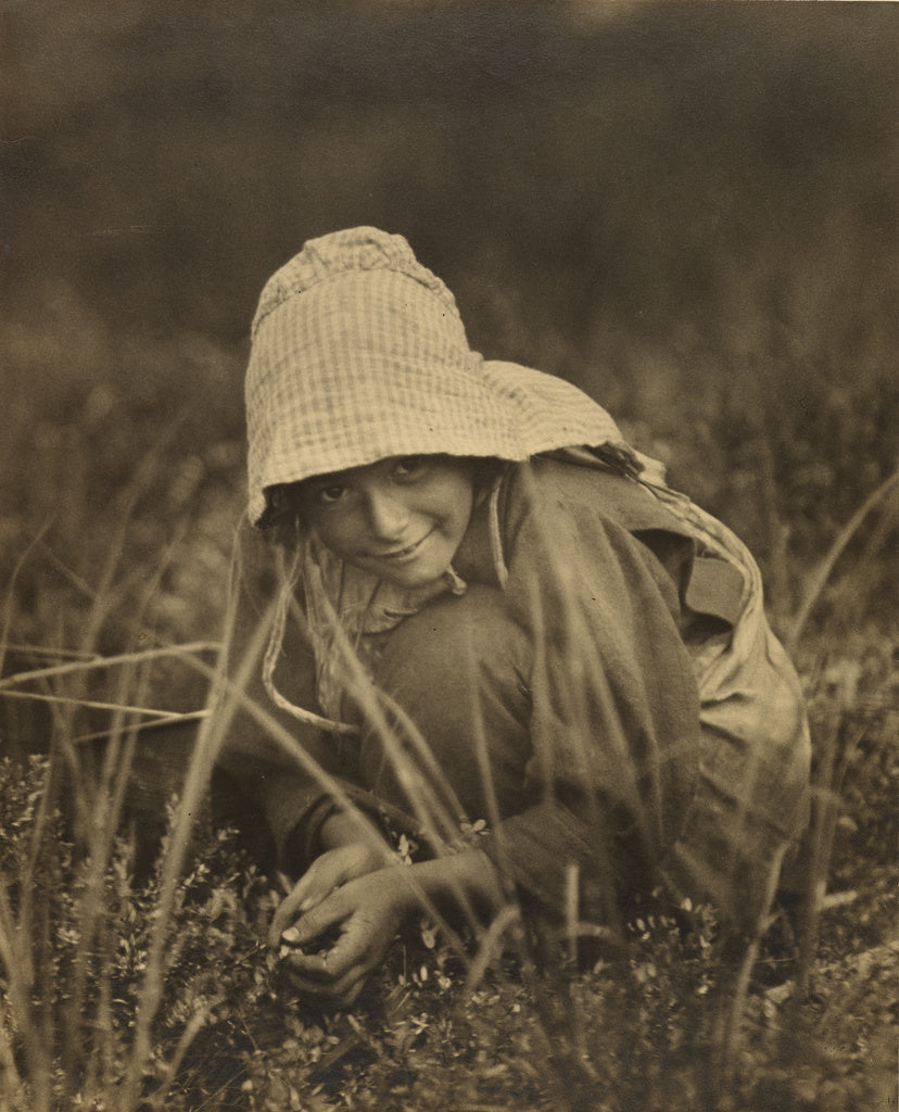 Lewis W. Hine:Cranberry Picker, New Jersey, Poster Print Wall Art