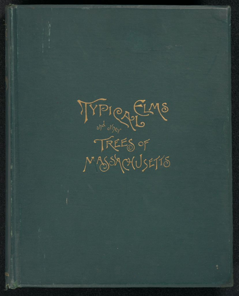 Lorin L. Dame:Typical Elms and Other Trees of Massachusetts, Poster Print Wall Art