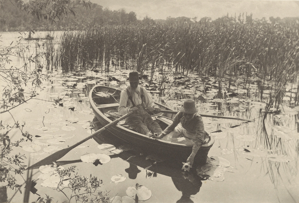 Peter Henry Emerson:Gathering Water-Lilies, Poster Print Wall Art