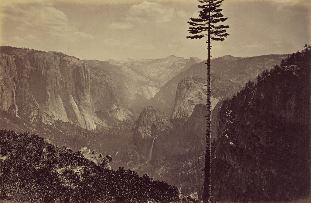 Carleton Watkins:Best General View, Mariposa Trail, Poster Print Wall Art