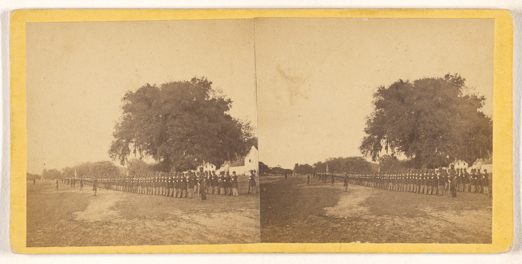 Unknown maker, American:[29th Regt. of black volunteers, Bea, Poster Print Wall Art