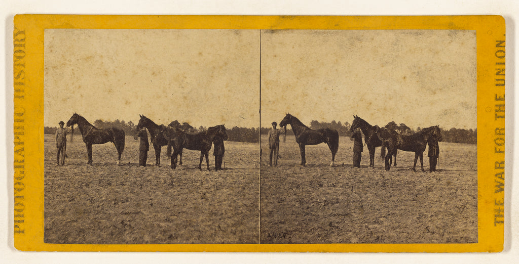 Mathew B. BradyStudio of:Lieut. Gen. Grant's three horses; t, Poster Print Wall Art