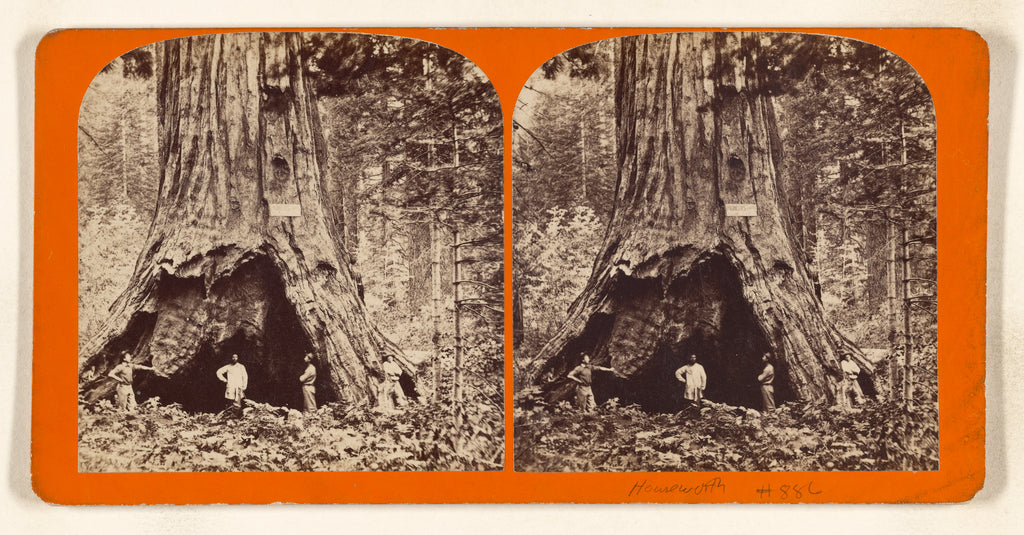 Lawrence & Houseworth:[Pioneer Cabin, near view, diameter 32, Poster Print Wall Art