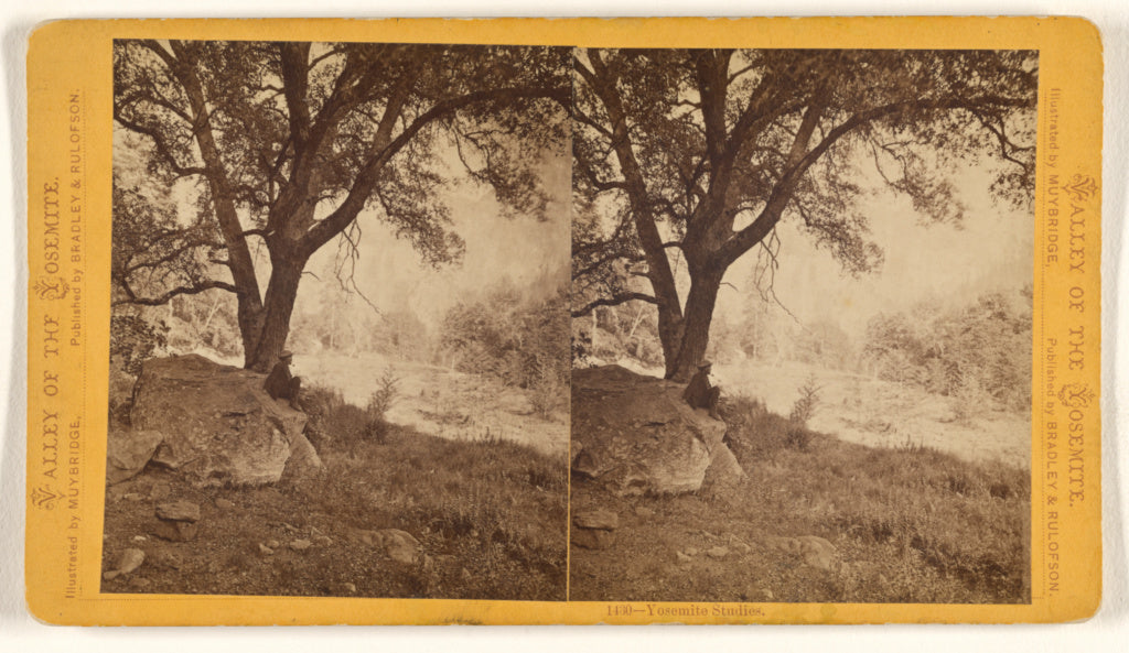 Eadweard J. Muybridge:Yosemite Studies., Poster Print Wall Art