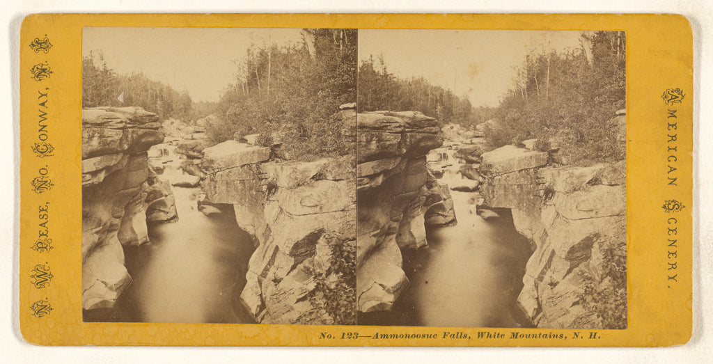 Nathan W. Pease:Ammonoosuc Falls, White Mountains, N.H., Poster Print Wall Art
