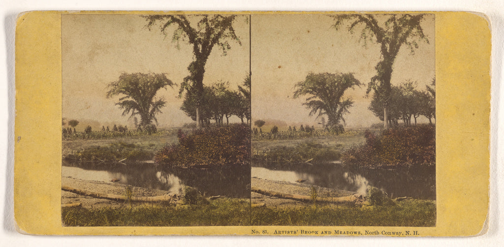 John P. Soule:Artists' Brook and Meadows, North Conway, N.H., Poster Print Wall Art