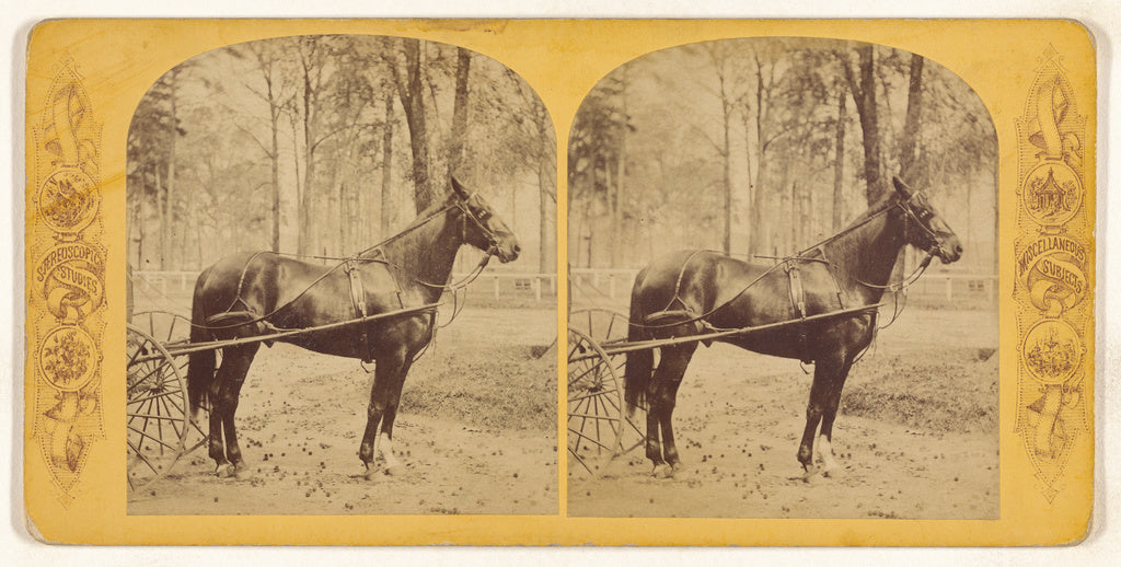 Unknown maker, American:Horse....Josh Billings, Macon, Georg, Poster Print Wall Art
