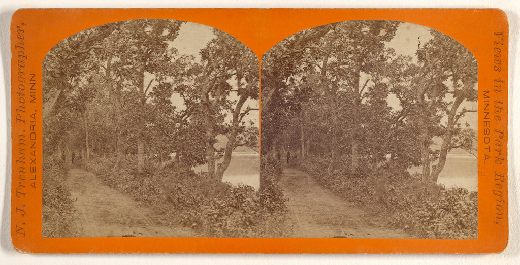 Newton J. Trenham:[Benson Road near Glenwood, Alexandria, Mi, Poster Print Wall Art