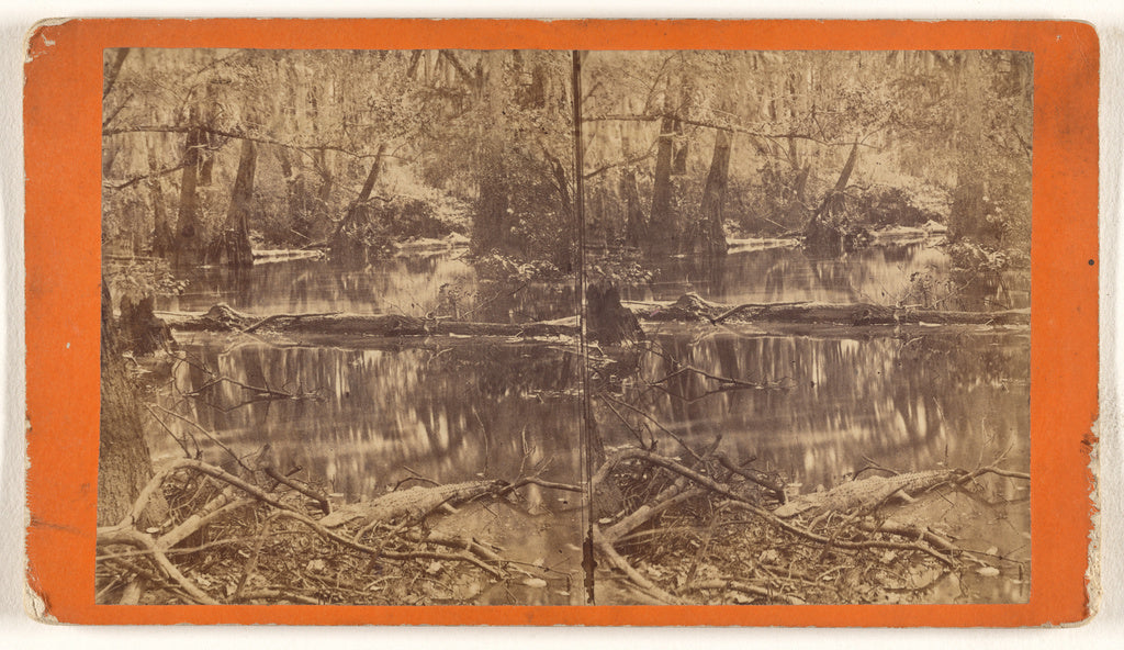 John Usher, Jr.:[Alligator in Moore's Lagoon, Augusta, Georg, Poster Print Wall Art