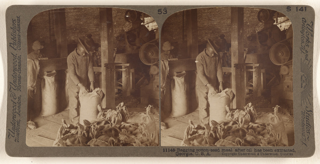 Underwood & Underwood:Bagging cotton-seed meal after oil has, Poster Print Wall Art