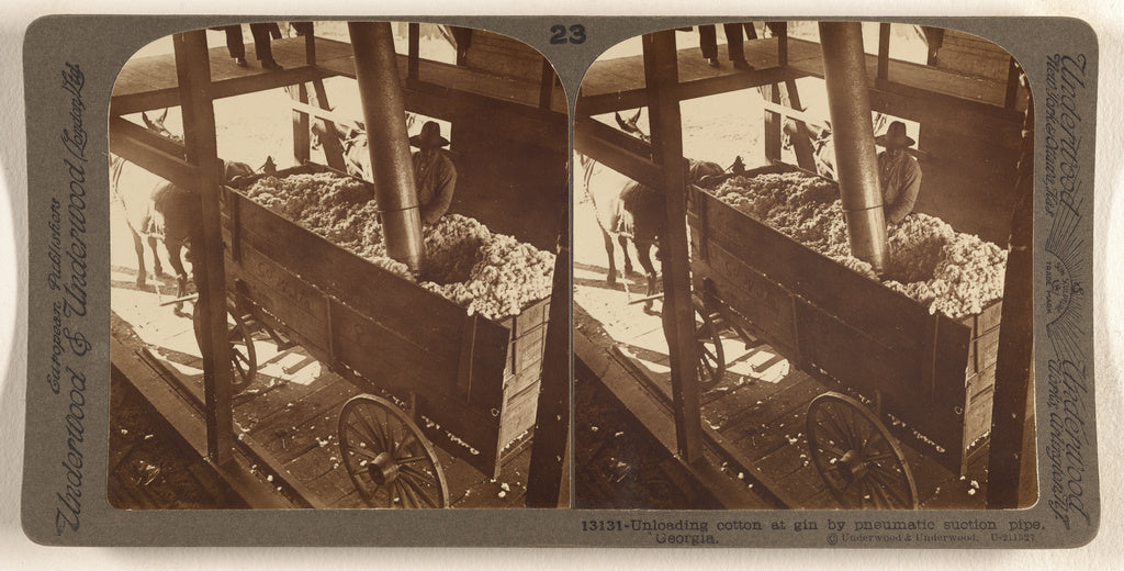 Underwood & Underwood:Unloading cotton at gin by pnematic su, Poster Print Wall Art