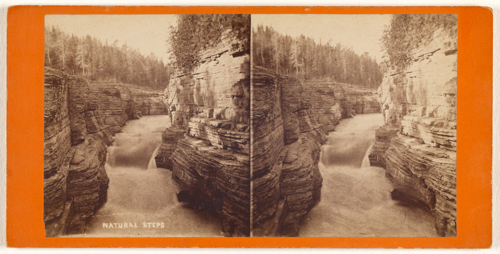 L.P. Vallée:Natural Steps, Poster Print Wall Art
